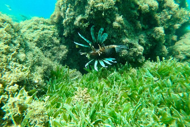 Guided Snorkeling adventure in San Juan - Why the small group size helps