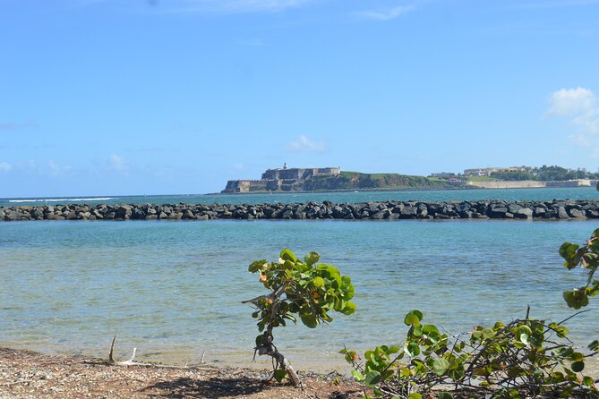 Half-Day Center of Puerto Rico Cultural Tour - The guides are central to the experience