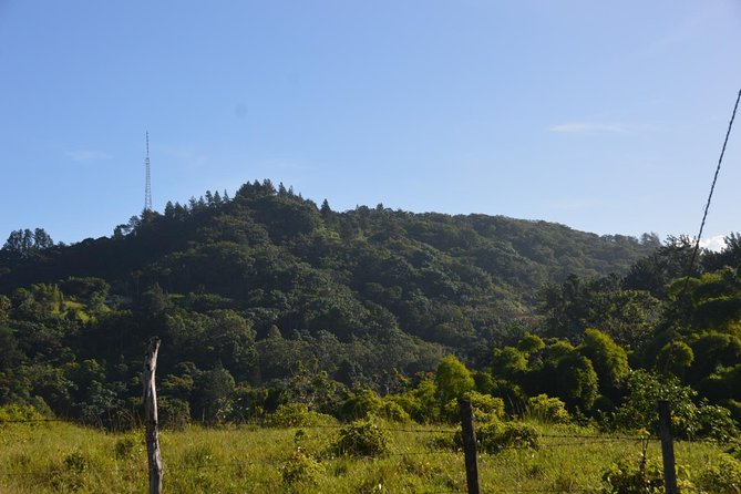 Half-Day Center of Puerto Rico Cultural Tour - Van comfort, group size, and the real pace