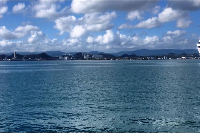 Half-Day Center of Puerto Rico Cultural Tour - Who should book this San Juan mountain tour