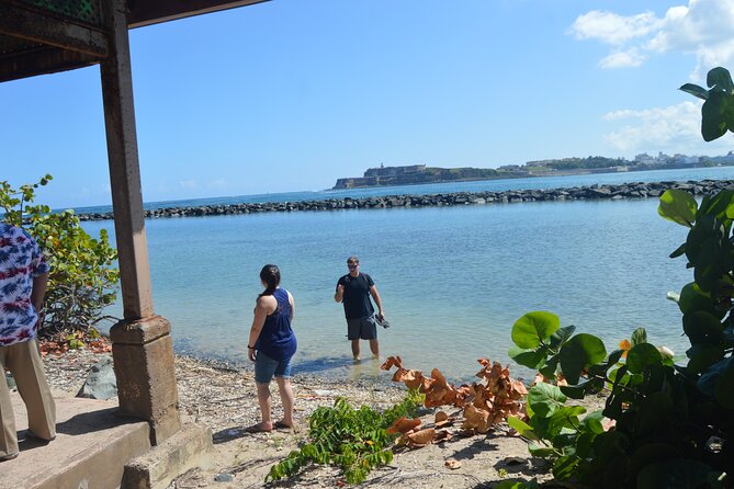 Half-Day Center of Puerto Rico Cultural Tour - From San Juan streets to the central mountains