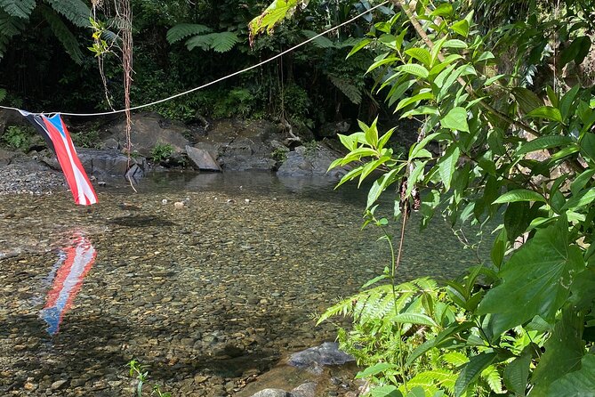 Half-Day El Yunque and Waterslides Adventure from Fajardo - The meeting point and self-drive requirement