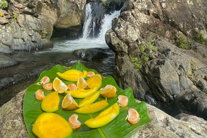 Half-Day El Yunque and Waterslides Adventure from Fajardo - Weather, cancellations, and what to bring