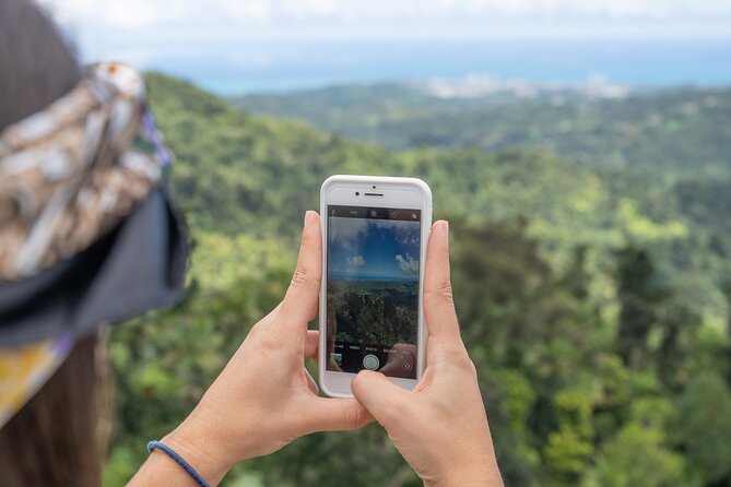 Half-Day El Yunque National Forest Tour from San Juan - El Yunque in five hours from San Juan
