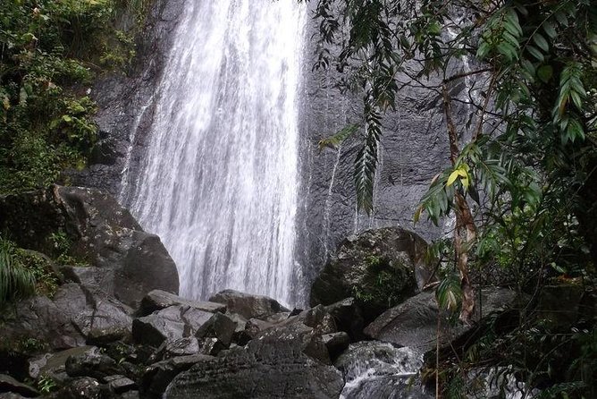 Half-Day El Yunque National Forest Tour from San Juan - Why the guide matters so much