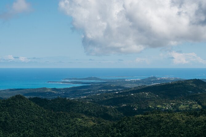 Half-Day El Yunque National Forest Tour from San Juan - Transport, timing, and group size