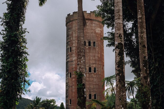 Half-Day El Yunque National Forest Tour from San Juan - La Coca Falls: a fast but worthwhile first stop