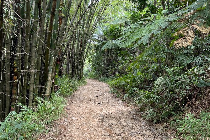 Half Day El Yunque Tour, Waterslide and Rope Swing - The natural rock waterslide and cliff jumps