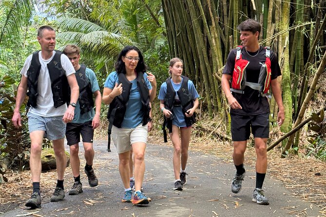 Half Day El Yunque Tour, Waterslide and Rope Swing - Group size, timing, and the crowd question