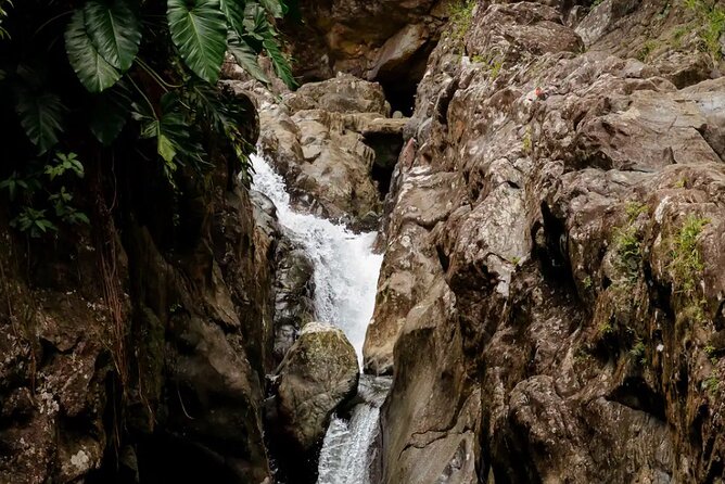 Half-Day El Yunque Waterslide Excursion (no Transportation) - The natural pool, slides, and rope swing