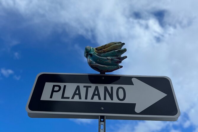 Half-Day: Old San Juan, Calle Cerra,Santurce, La Placita & Loíza - Who will enjoy this San Juan tour most?