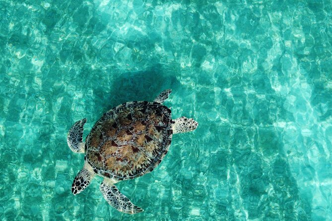 Half-Day Private Boat Experience – Appetizers & Drinks Included - Cruising Along Puerto Rico’s Eastern Coast