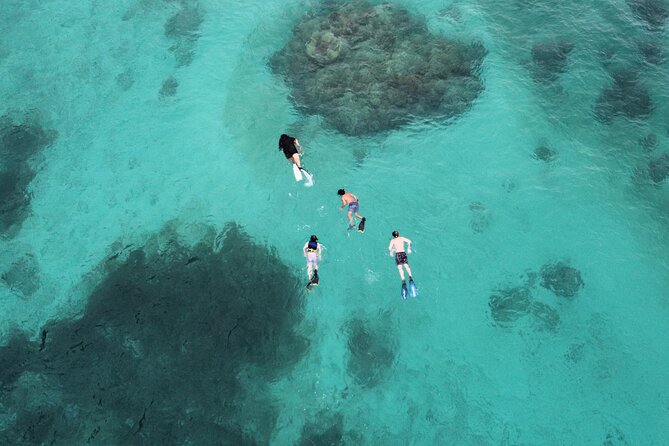 Half-Day Private Boat Experience – Appetizers & Drinks Included - Who Will Enjoy This Most?