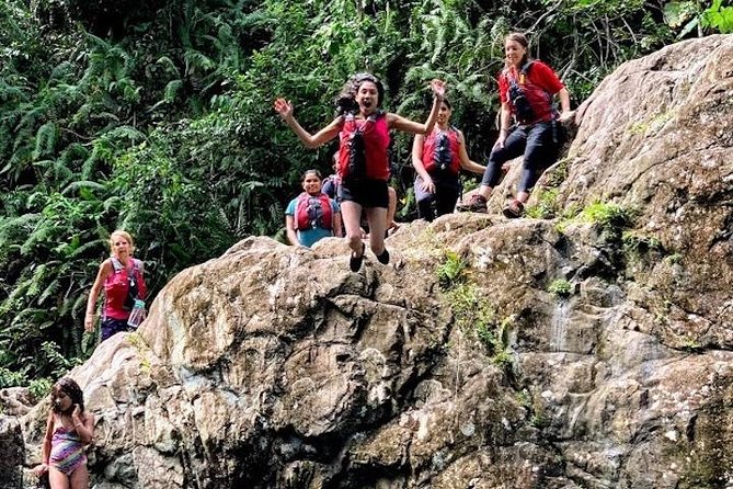 Half-Day: Rainforest and Waterslide Adventure with Transportation - What the guide adds to the day