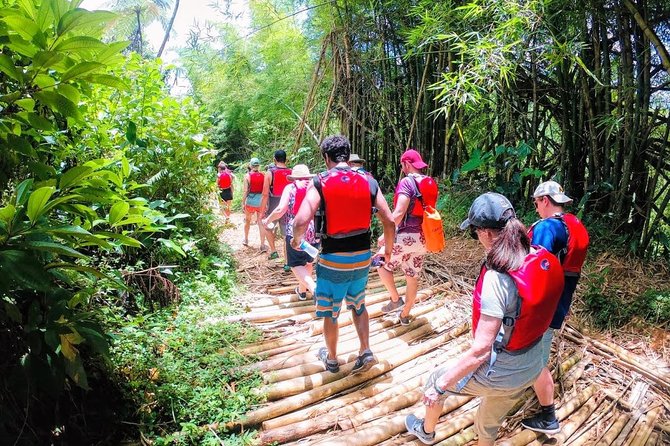 Half-Day: Rainforest and Waterslide Adventure with Transportation - Who should book this rainforest adventure?