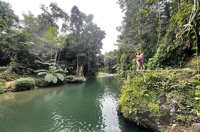 Half-Day Rainforest Tour with Transport from San Juan - The drive from San Juan to the foothills