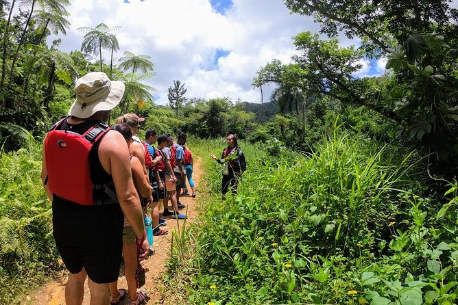 Half-Day Tour: El Yunque Rainforest and Waterslide Adventure - Quick takeaways for planning your El Yunque day