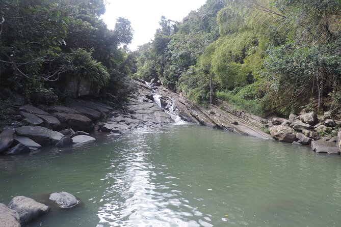 Half-Day Tour: El Yunque, Waterslides, and Luquillo Beach - What the guide adds to the outing