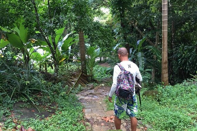 Half-Day Tour: El Yunque, Waterslides, and Luquillo Beach - El Yunque without an all-day hike