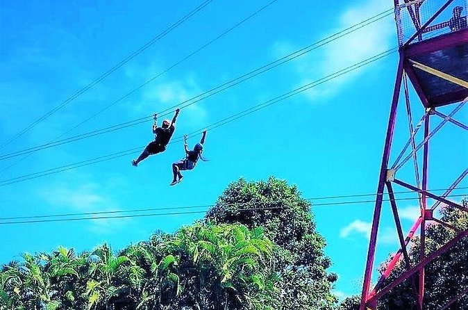 Half Day Tour in Rainforest Zipline Park with Transportation - The practice lines and the two forest runs