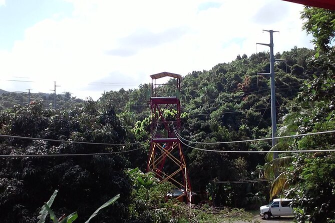 Half Day Tour in Rainforest Zipline Park with Transportation - How long the experience really takes