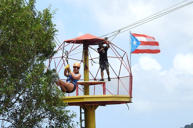 Half Day Tour in Rainforest Zipline Park with Transportation - The ride from your hotel to Rio Grande