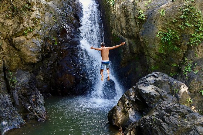 Half-Day Yunque Rainforest Waterslide & rope swing Guided Tour - Practical planning from Fajardo