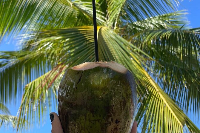 Hidden Fresh Spring of Water+ Cave+ Beach & Food Full Day Tour - A day built around Puerto Rico’s quieter side