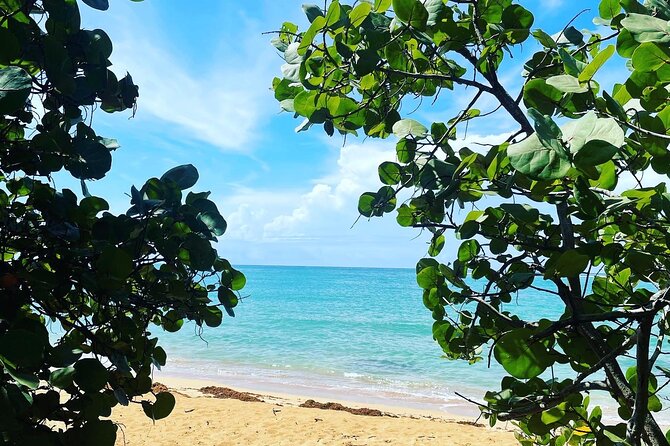 Hidden Fresh Spring of Water+ Cave+ Beach & Food Full Day Tour - What the cave information really means