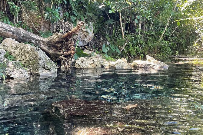 Hidden Fresh Spring of Water+ Cave+ Beach & Food Full Day Tour - What the $125 price buys you