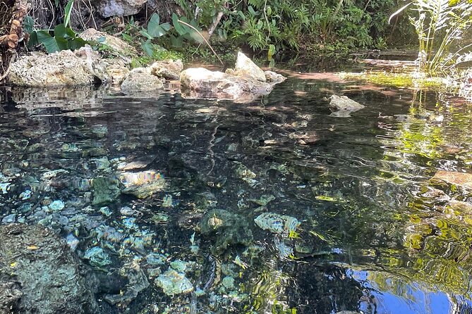 Hidden Fresh Spring of Water+ Cave+ Beach & Food Full Day Tour - Timing, weather, and what to pack