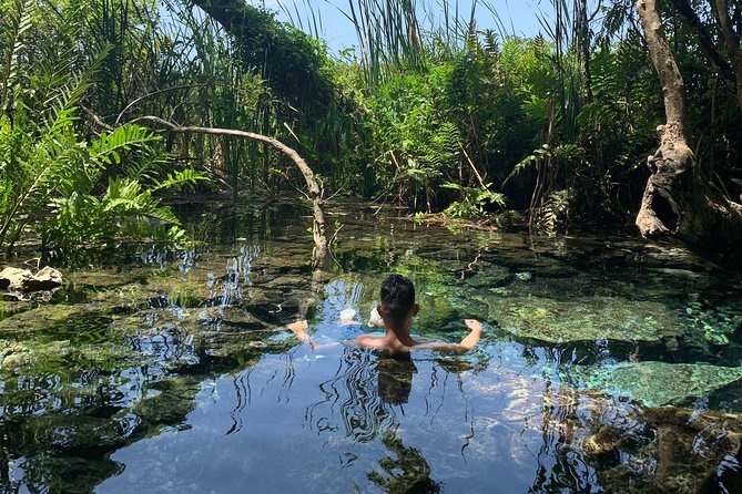 Hidden Gems of the North, Puerto Rico Private Tour - The best parts of this four-hour outing