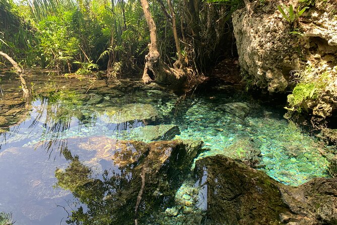 Hidden Gems of the North, Puerto Rico Private Tour - Who will enjoy this morning most