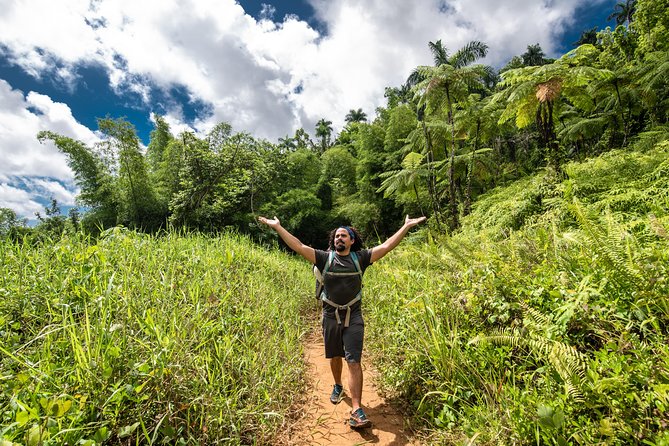 Hike El Yunque Rainforest and Kayak Bio Bay Combo Tour - A late lunch and an important break in the day