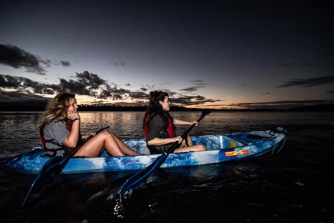 Hike El Yunque Rainforest and Kayak Bio Bay Combo Tour - Who should book this combination