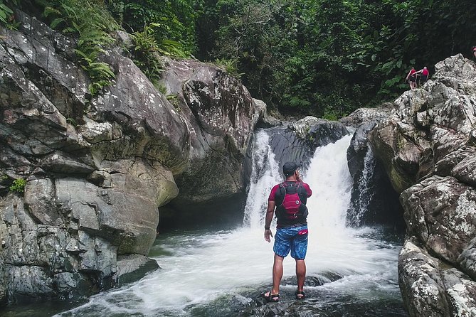 Hike El Yunque Rainforest and Kayak Bio Bay Combo Tour - What the rainforest demands from you