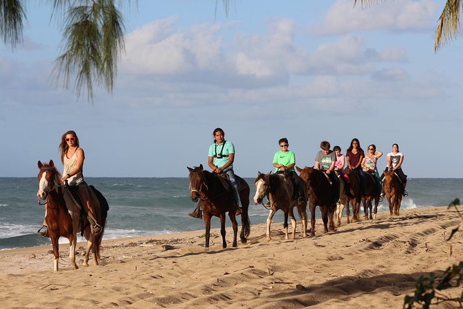 Horseback Riding through Secluded Beaches and Tropical Forests - Key points to know before you saddle up