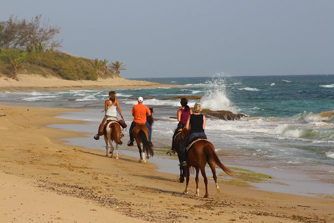Horseback Riding through Secluded Beaches and Tropical Forests - A coastal ride that leaves the roads behind