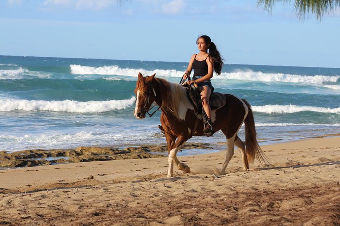 Horseback Riding through Secluded Beaches and Tropical Forests - Shacks Beach is the first coastal reveal
