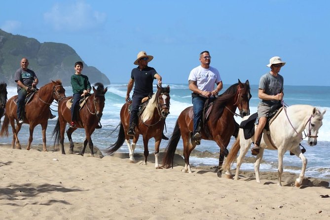 Horseback Riding through Secluded Beaches and Tropical Forests - Survival Beach brings the best pause
