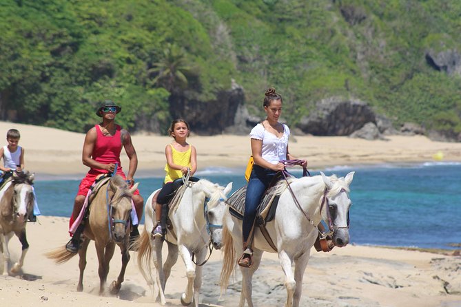 Horseback Riding through Secluded Beaches and Tropical Forests - First-time riders get a careful introduction