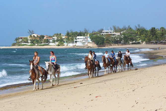 Horseback Riding through Secluded Beaches and Tropical Forests - Is $106.95 a fair price?