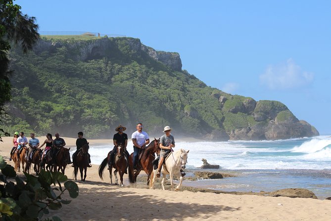 Horseback Riding through Secluded Beaches and Tropical Forests - Weather and cancellation deserve serious attention