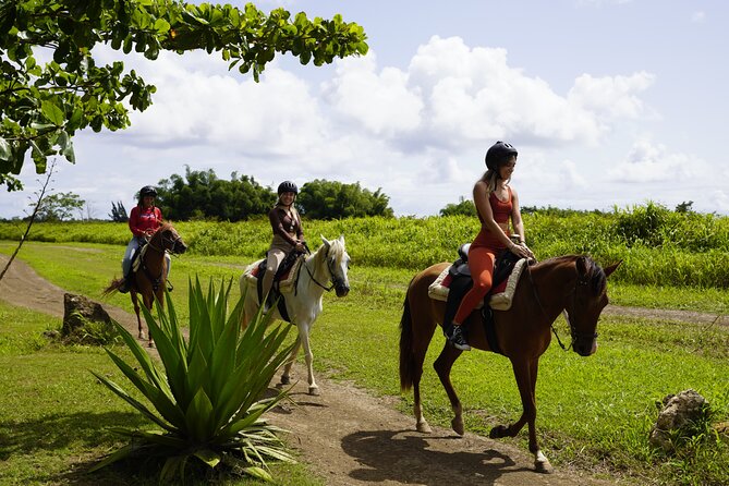 Horseback Riding Tour at Private Ranch - At a glance