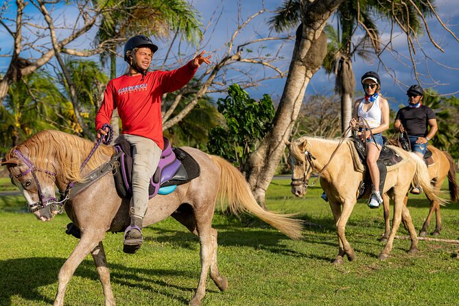 Horseback Riding Tour at Private Ranch - Riding Paso Fino horses at Hacienda Campo Rico