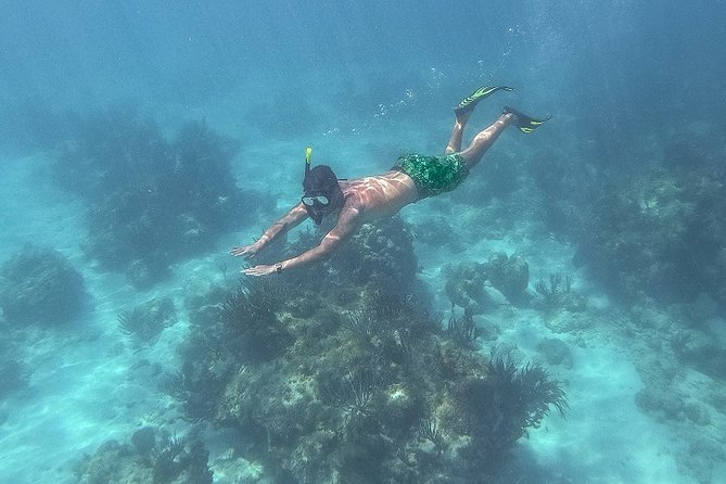 Icacos Deserted Island Catamaran, Snorkel, and Picnic Cruise - The ride back to Fajardo