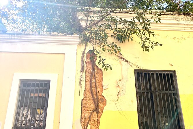 Instagramable Places in Old San Juan Tour - Casa Blanca and the story of Ponce de León