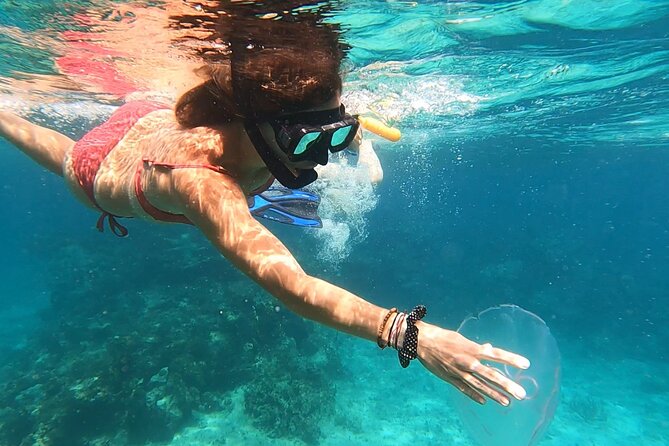 Island Hopping and Snorkeling Sailing and Boat Tours Fajardo - Vieques is the full-day choice, not a quick add-on
