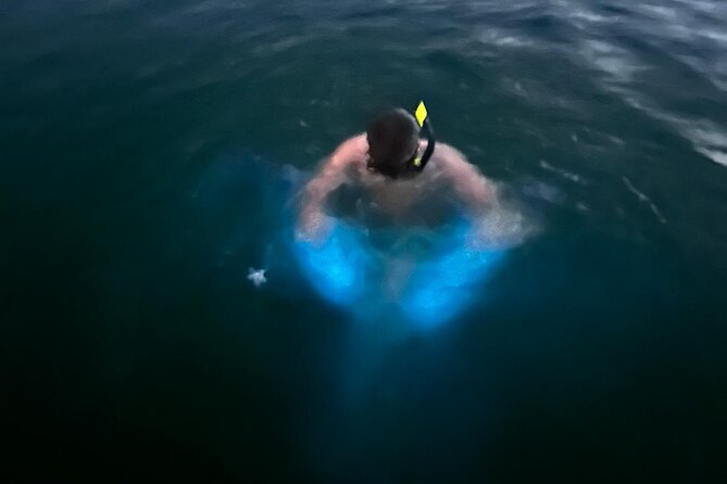 La Parguera Bio Bay Boat Ride and Swimming w/ San Juan Transport - Why La Parguera’s glowing water is worth the long ride