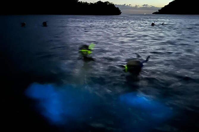 La Parguera Bio Bay Boat Ride and Swimming w/ San Juan Transport - What the motorboat ride is really like